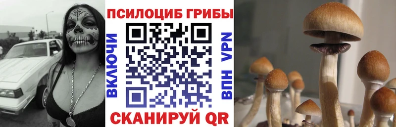 где купить   Кызыл  Галлюциногенные грибы ЛСД 